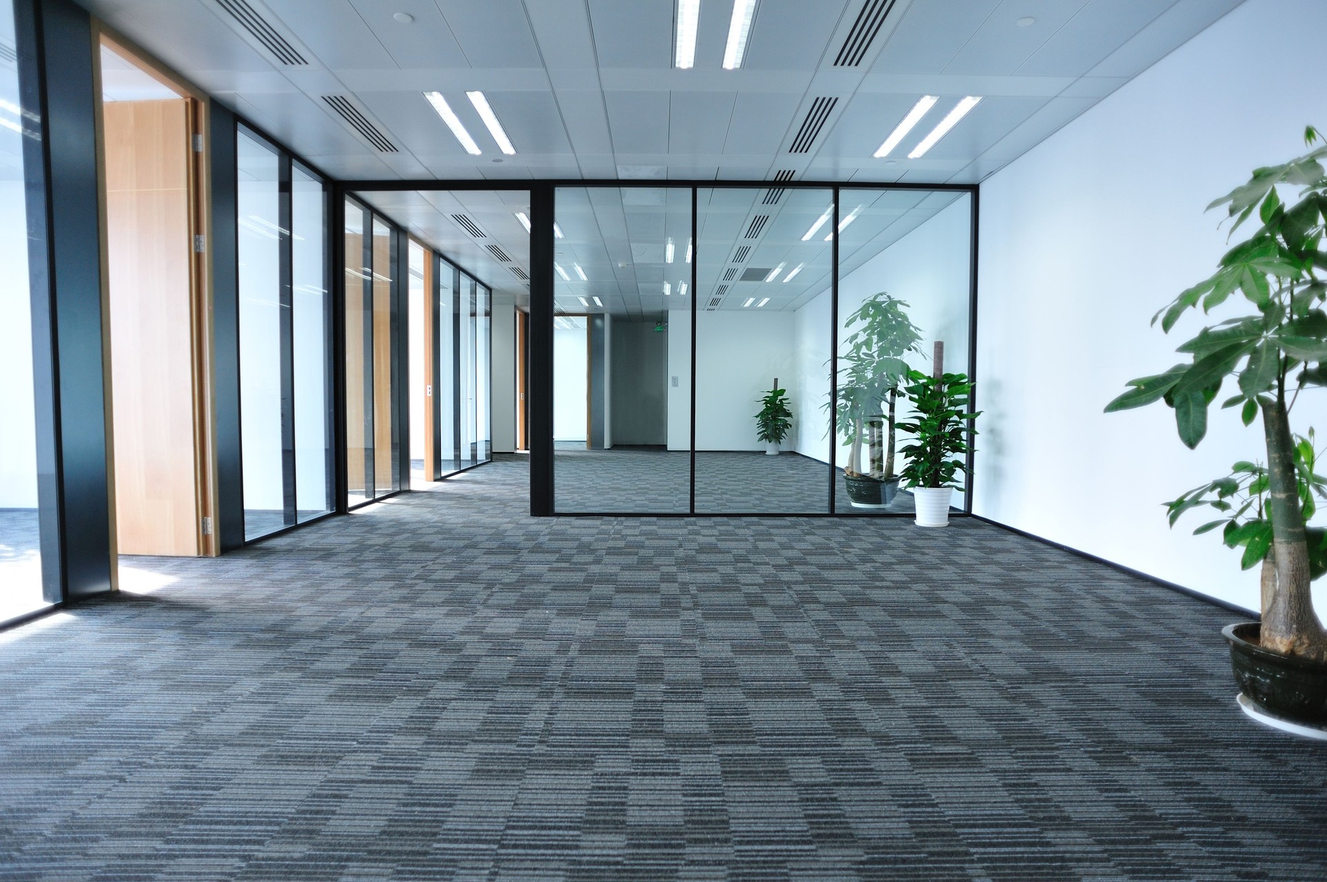 Miami-office-carpet-cleaning